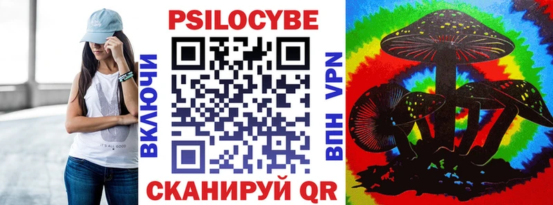Псилоцибиновые грибы Psilocybe  мега tor  Гатчина 